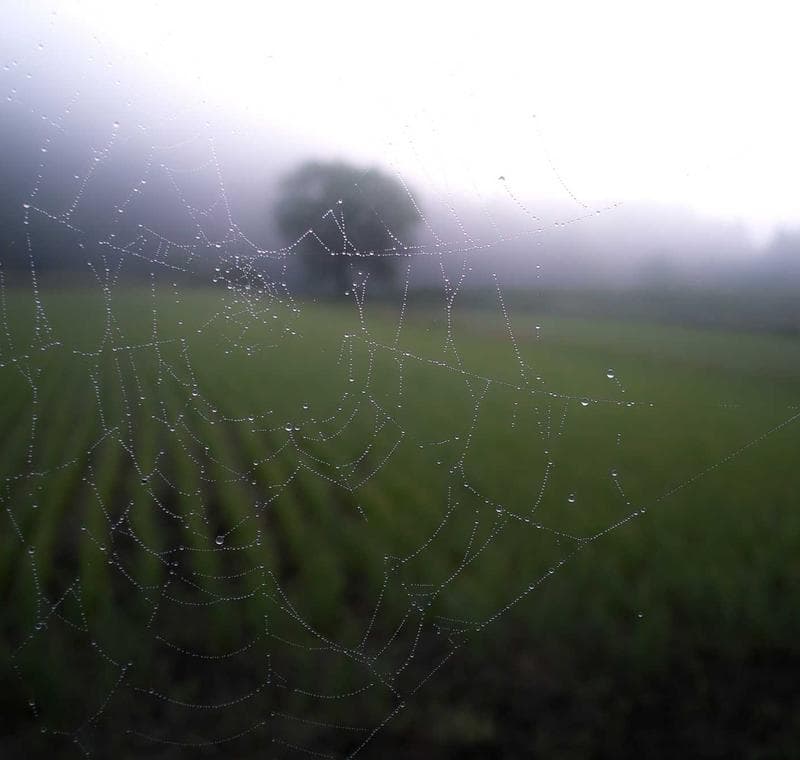 Dehradun in 2 Days — Quick Soul photo 2